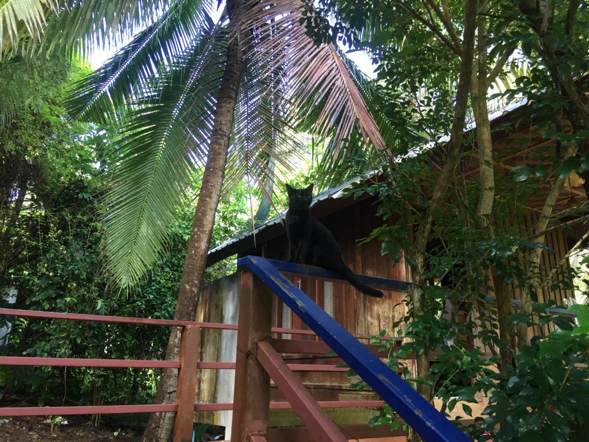 Phayam Garden View Hotel Koh Phayam Eksteriør billede