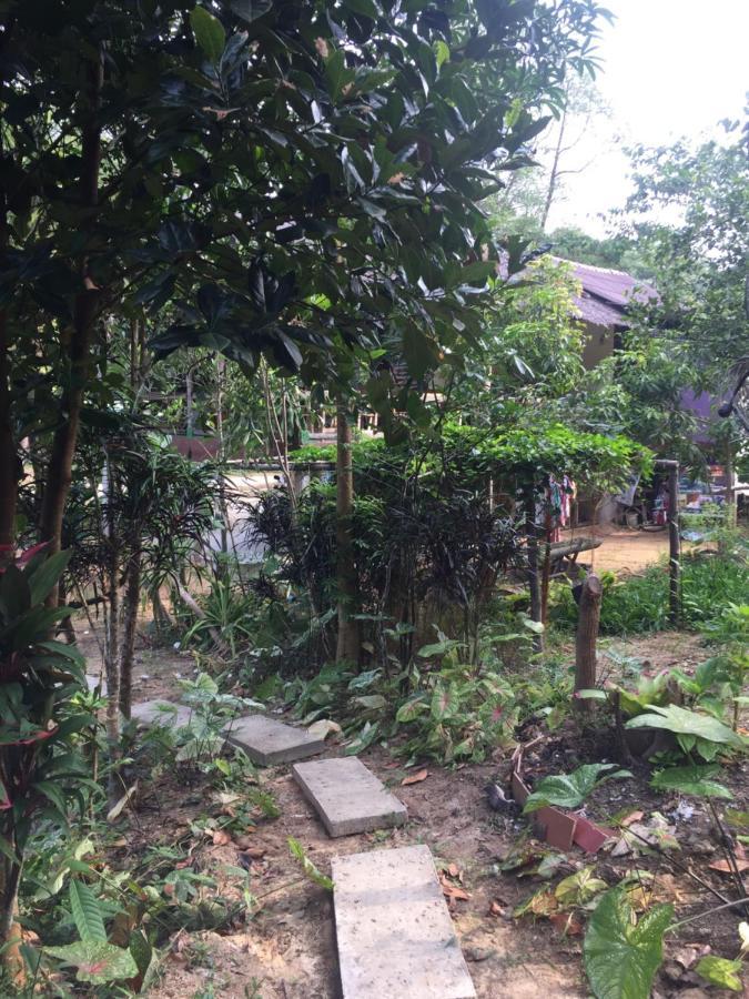 Phayam Garden View Hotel Koh Phayam Eksteriør billede