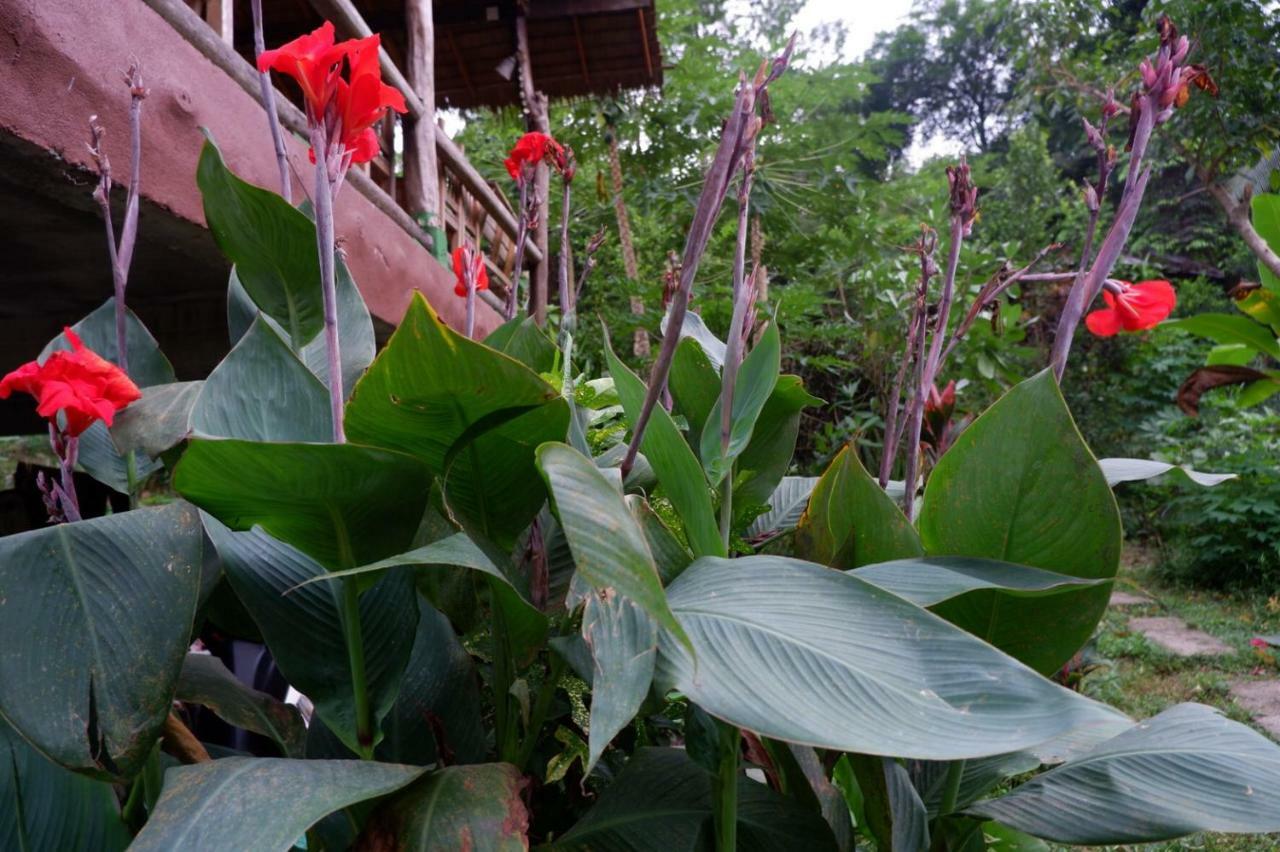 Phayam Garden View Hotel Koh Phayam Eksteriør billede